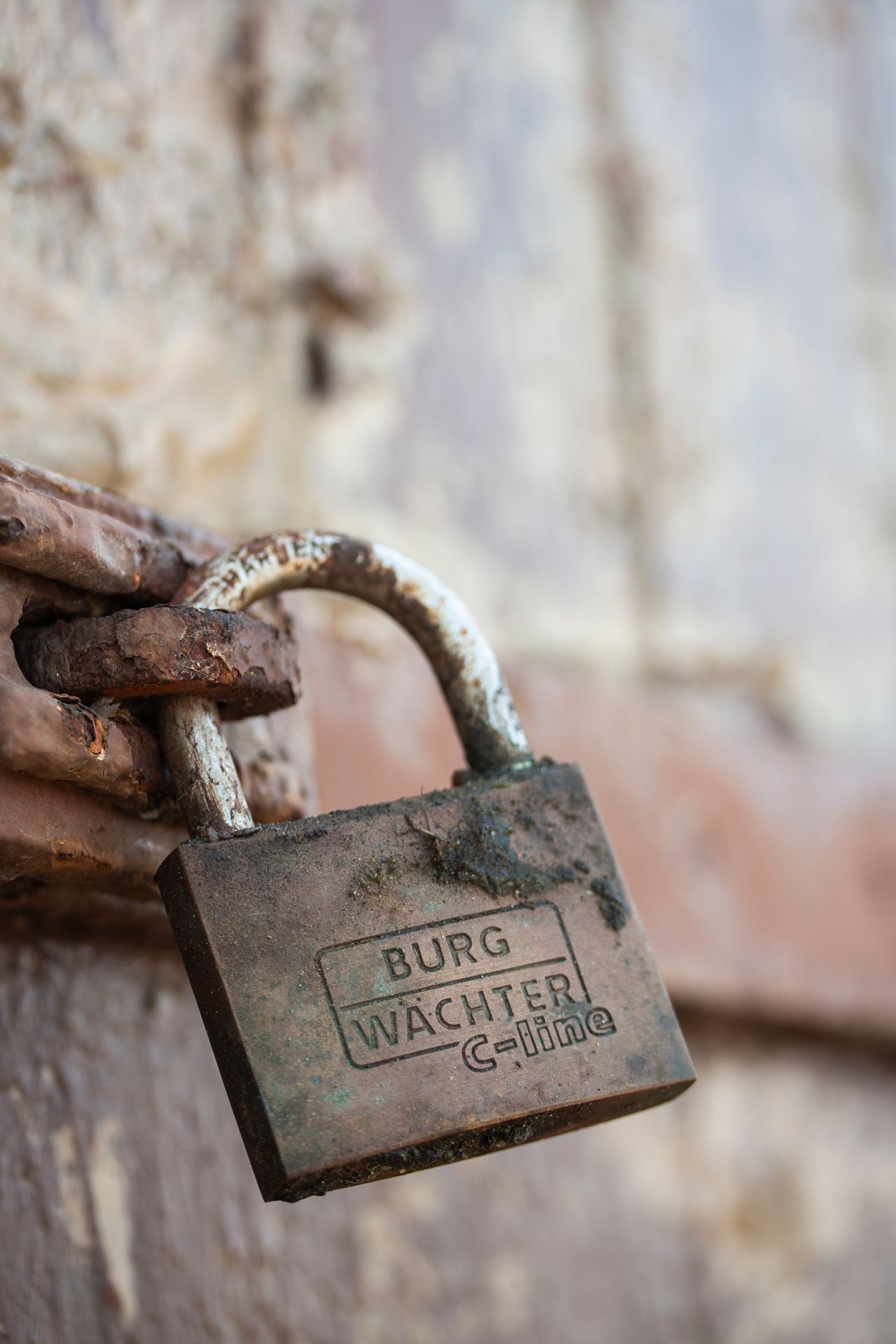 What to Do If Your Phone Is Lost or Stolen: A Step-by-Step Plan